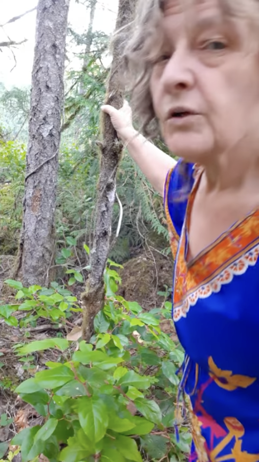 Dr. Alison Amazed with nature in a tree, hand on branch