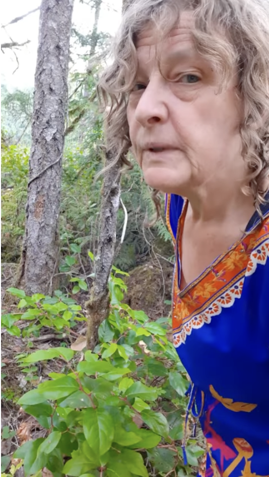 Dr. Alison Amazed sounding the tree